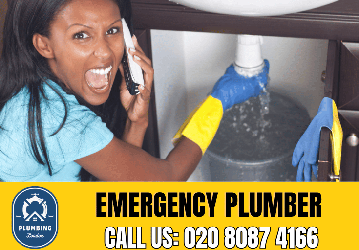 emergency plumber Raynes Park