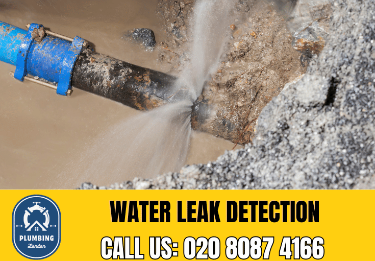 leak detection Raynes Park