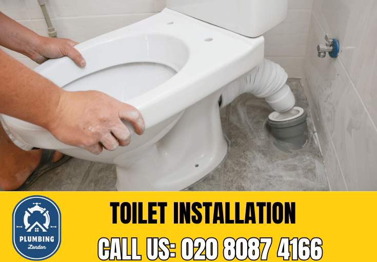 toilet fitters Raynes Park